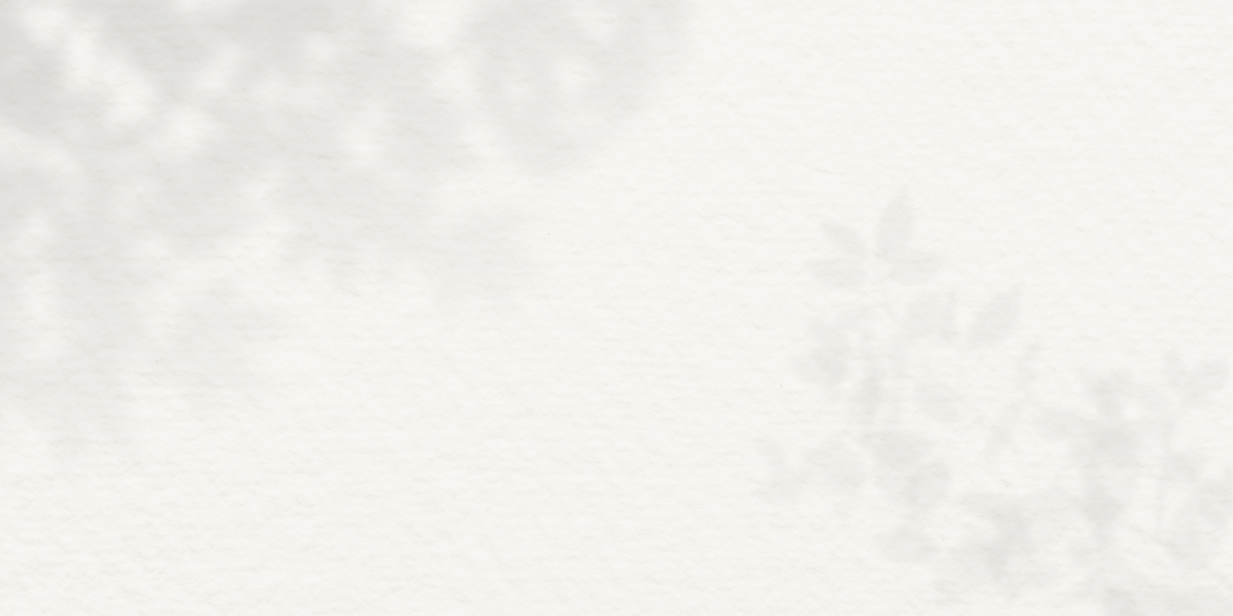 Solid light gray color swatch